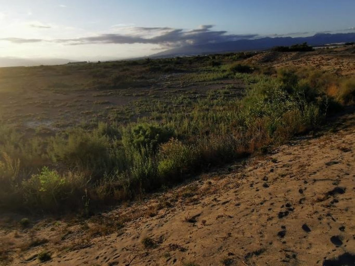 Fincas y solares-Venta-Cabo de Gata-1233241-Foto-27