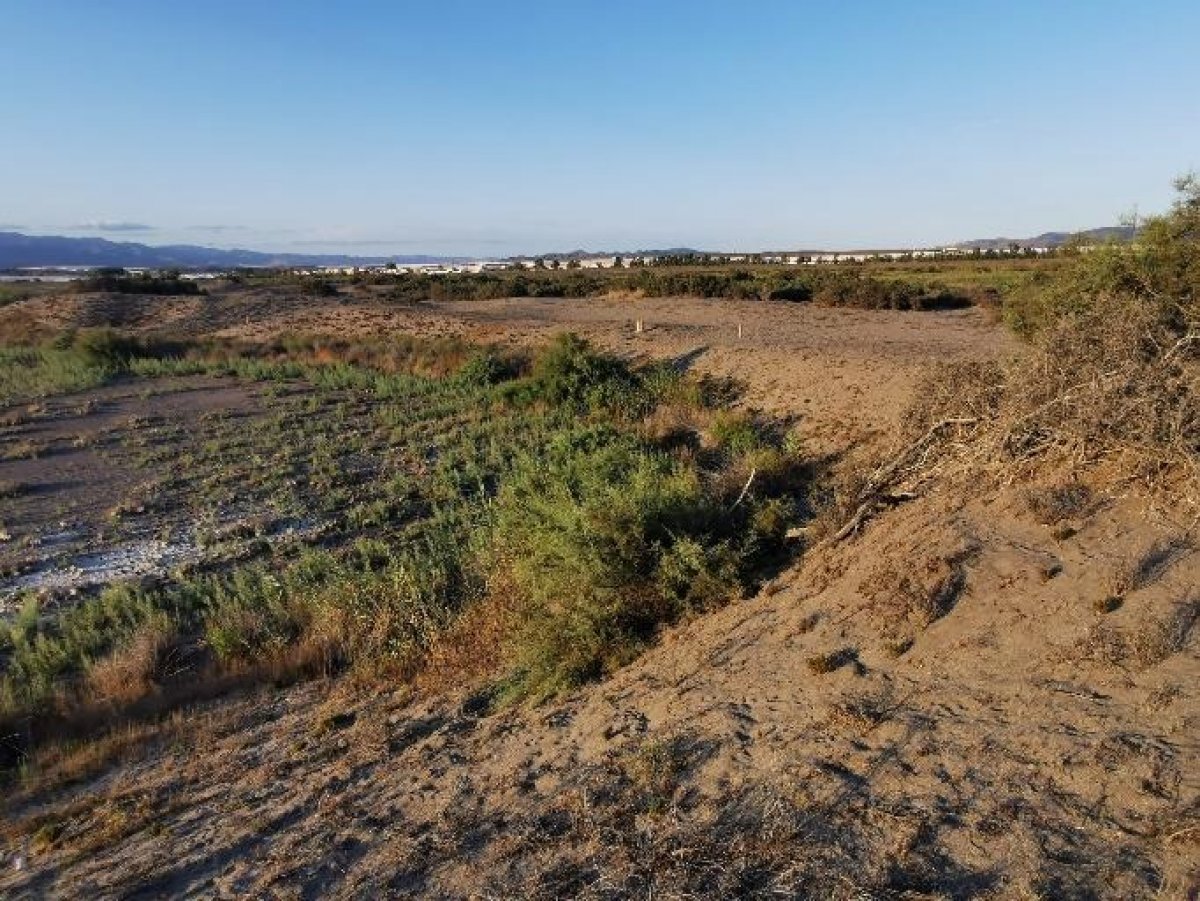 Fincas y solares-Venta-Cabo de Gata-1233241-Foto-35