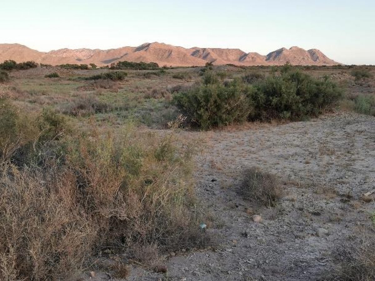 Fincas y solares-Venta-Cabo de Gata-1233241-Foto-34