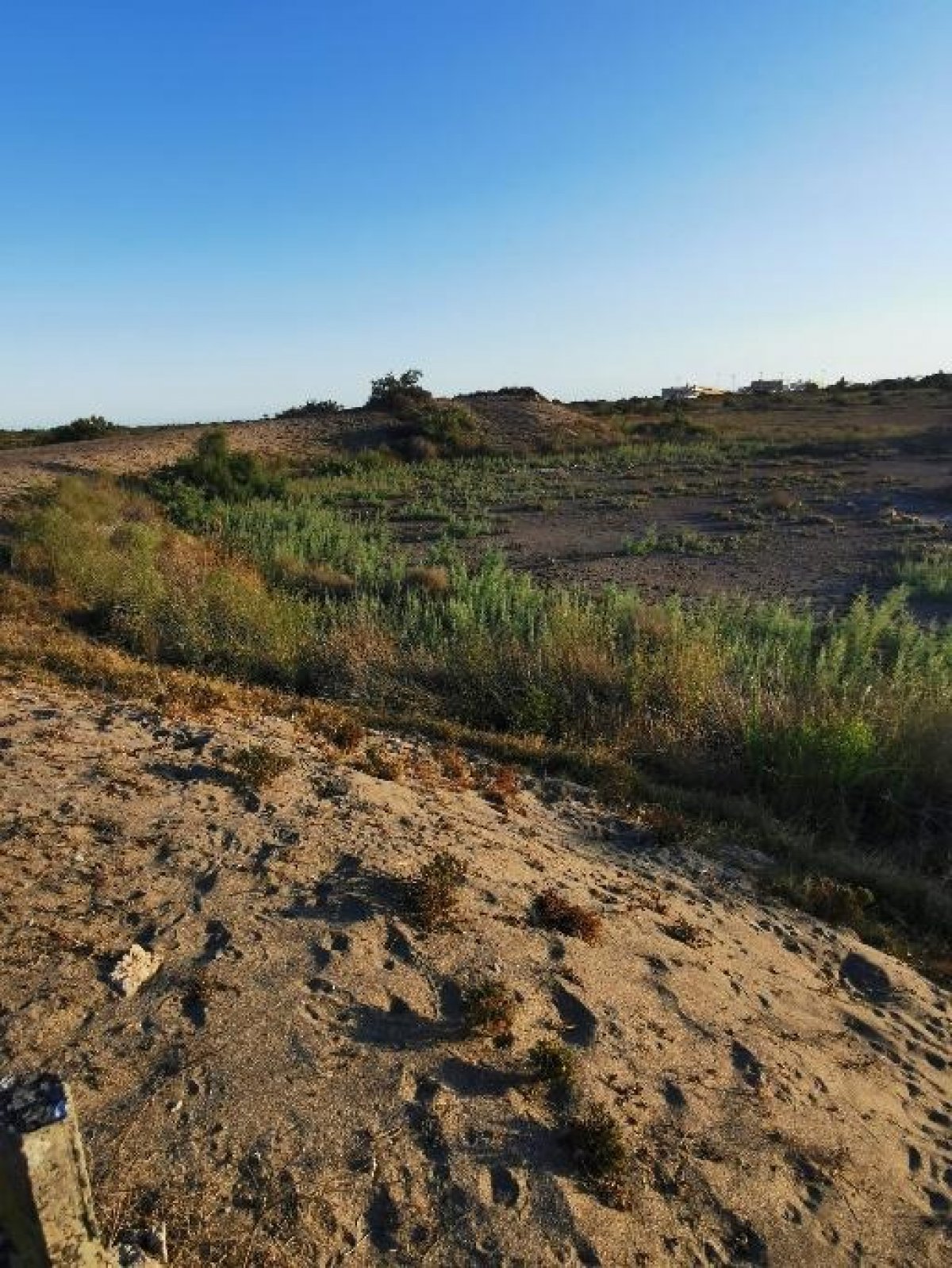 Fincas y solares-Venta-Cabo de Gata-1233241-Foto-30