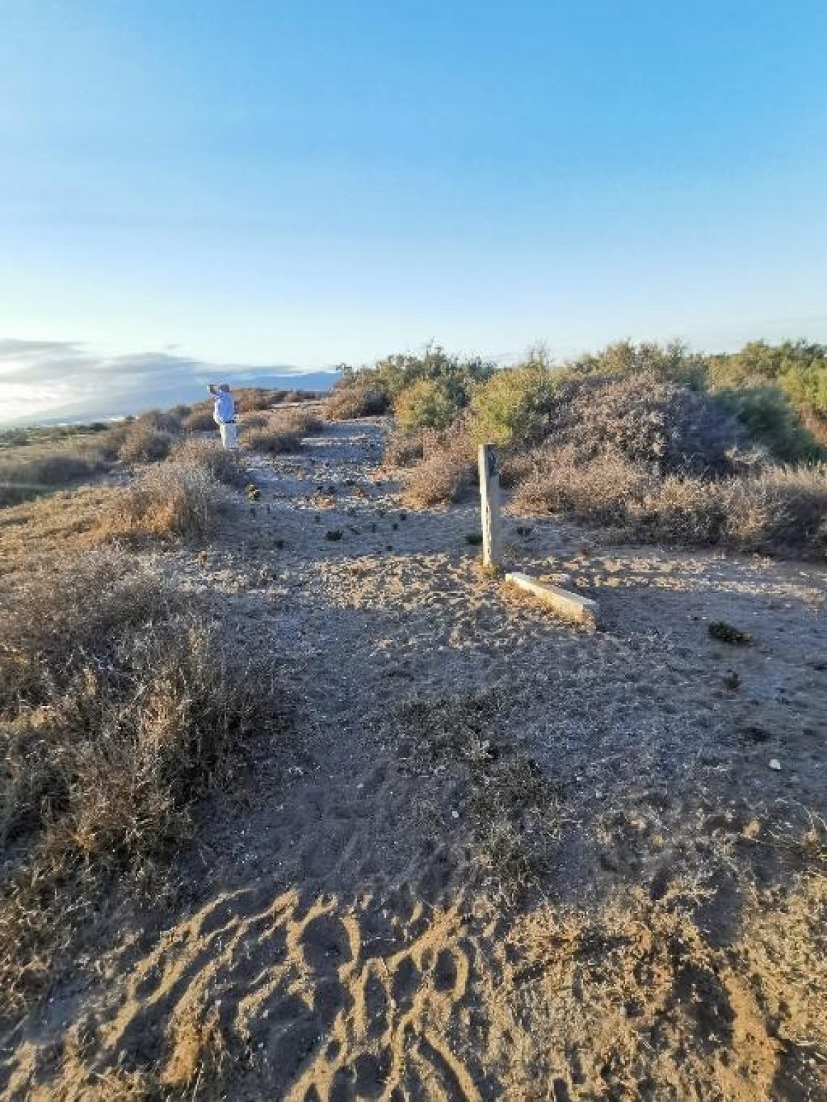 Fincas y solares-Venta-Cabo de Gata-1233241-Foto-28