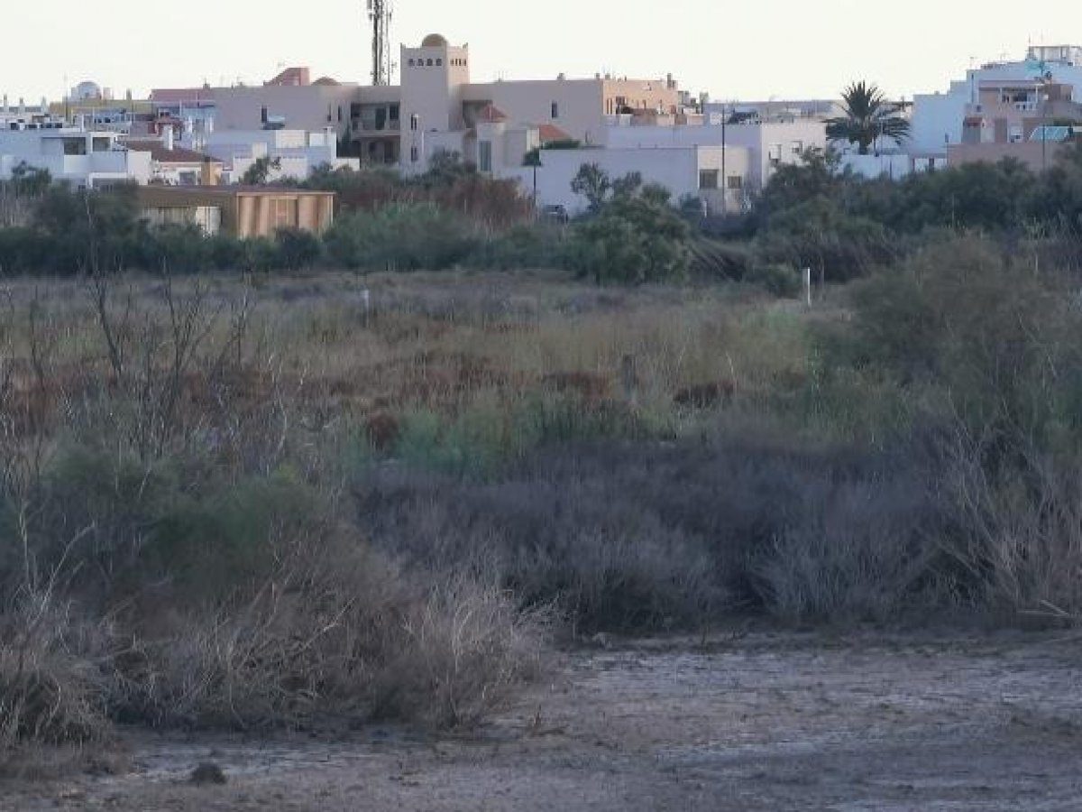Fincas y solares-Venta-Cabo de Gata-1233241-Foto-40