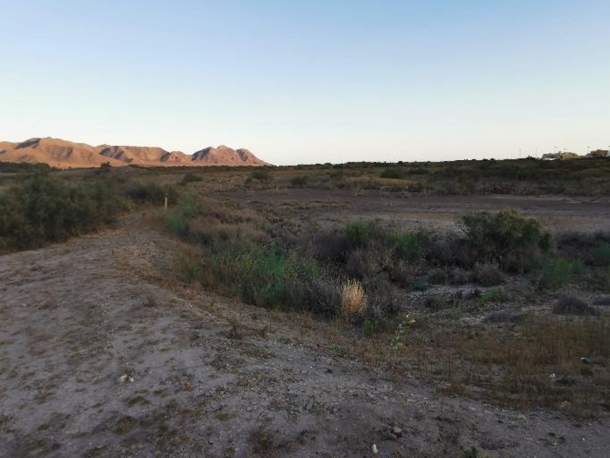Fincas y solares-Venta-Cabo de Gata-1233241-Foto-45