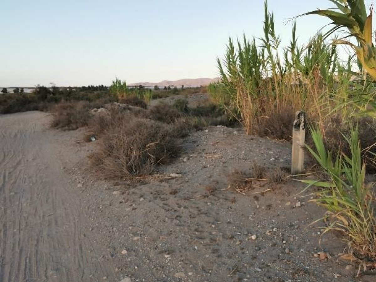Fincas y solares-Venta-Cabo de Gata-1233241-Foto-46