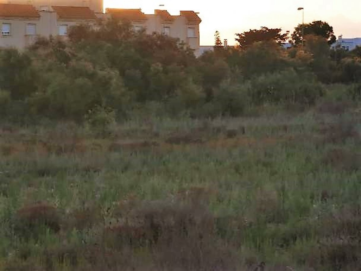 Fincas y solares-Venta-Cabo de Gata-1233241-Foto-50
