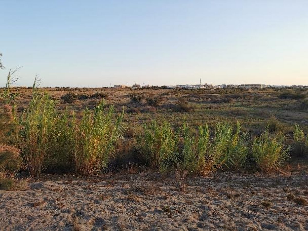 Fincas y solares-Venta-Cabo de Gata-1233241-Foto-52
