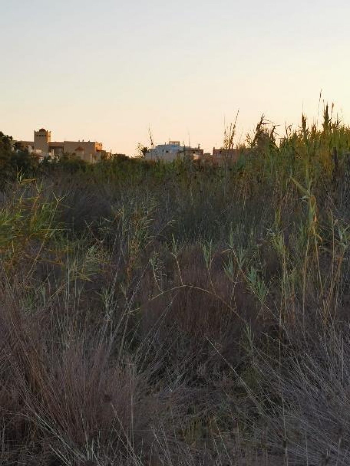 Fincas y solares-Venta-Cabo de Gata-1233241-Foto-43