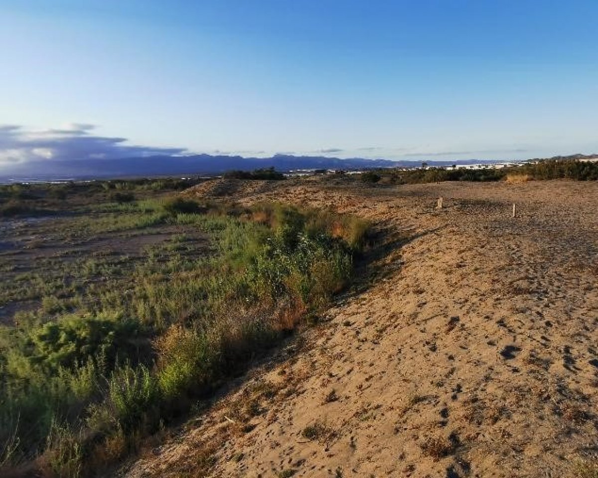 Fincas y solares-Venta-Cabo de Gata-1233241-Foto-56