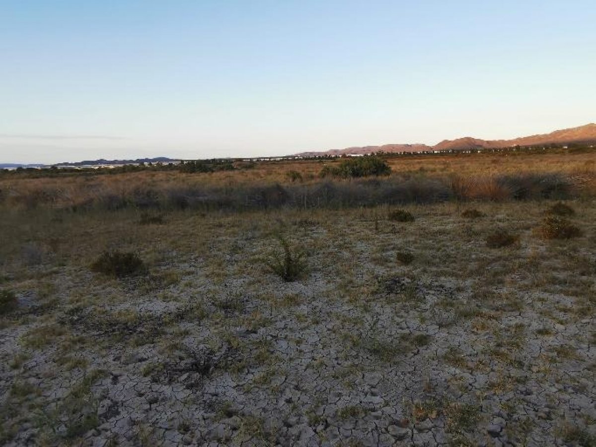 Fincas y solares-Venta-Cabo de Gata-1233241-Foto-57