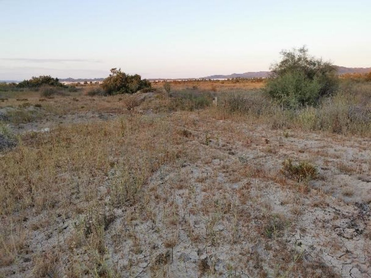 Fincas y solares-Venta-Cabo de Gata-1233241-Foto-62