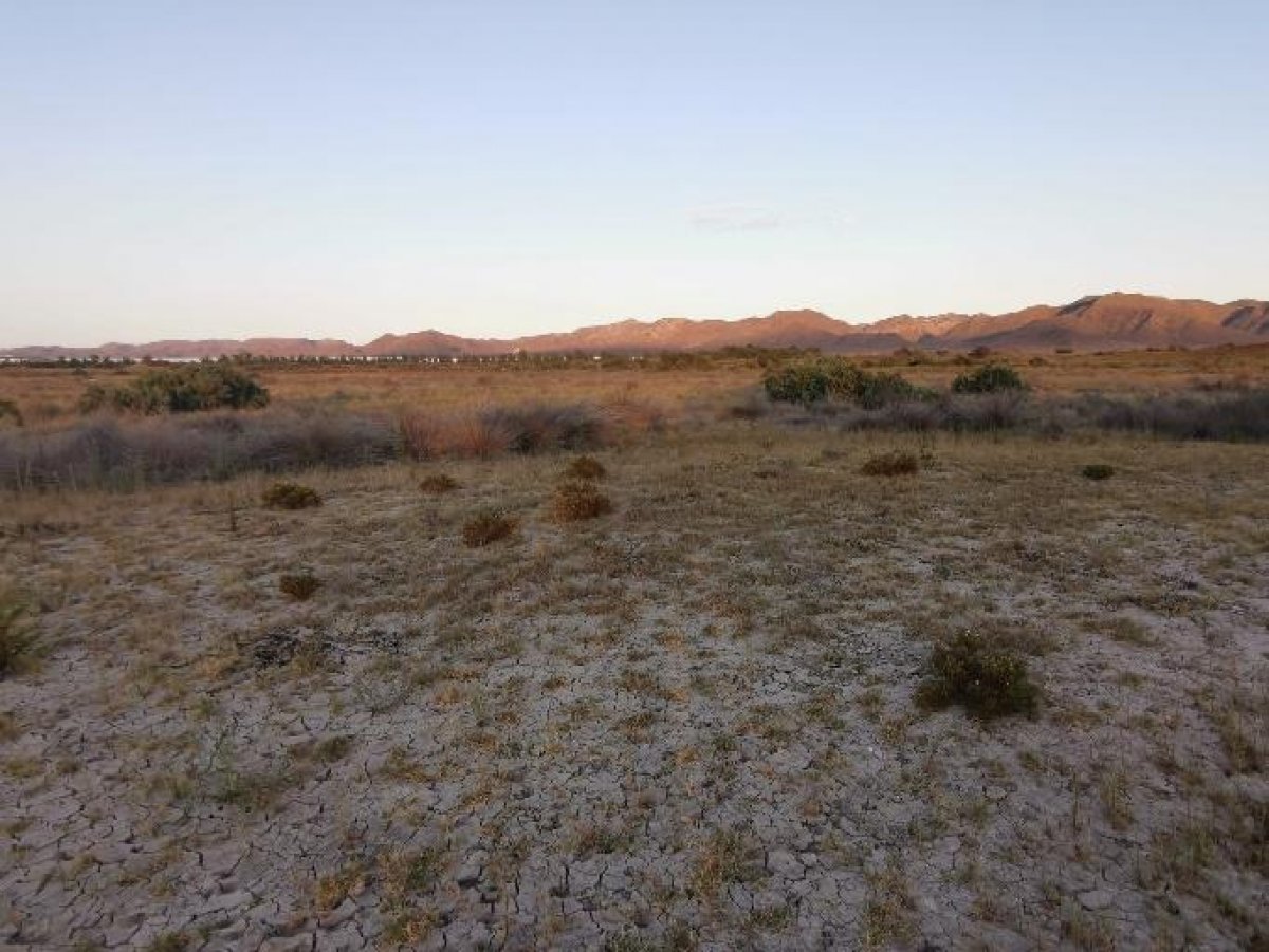 Fincas y solares-Venta-Cabo de Gata-1233241-Foto-64