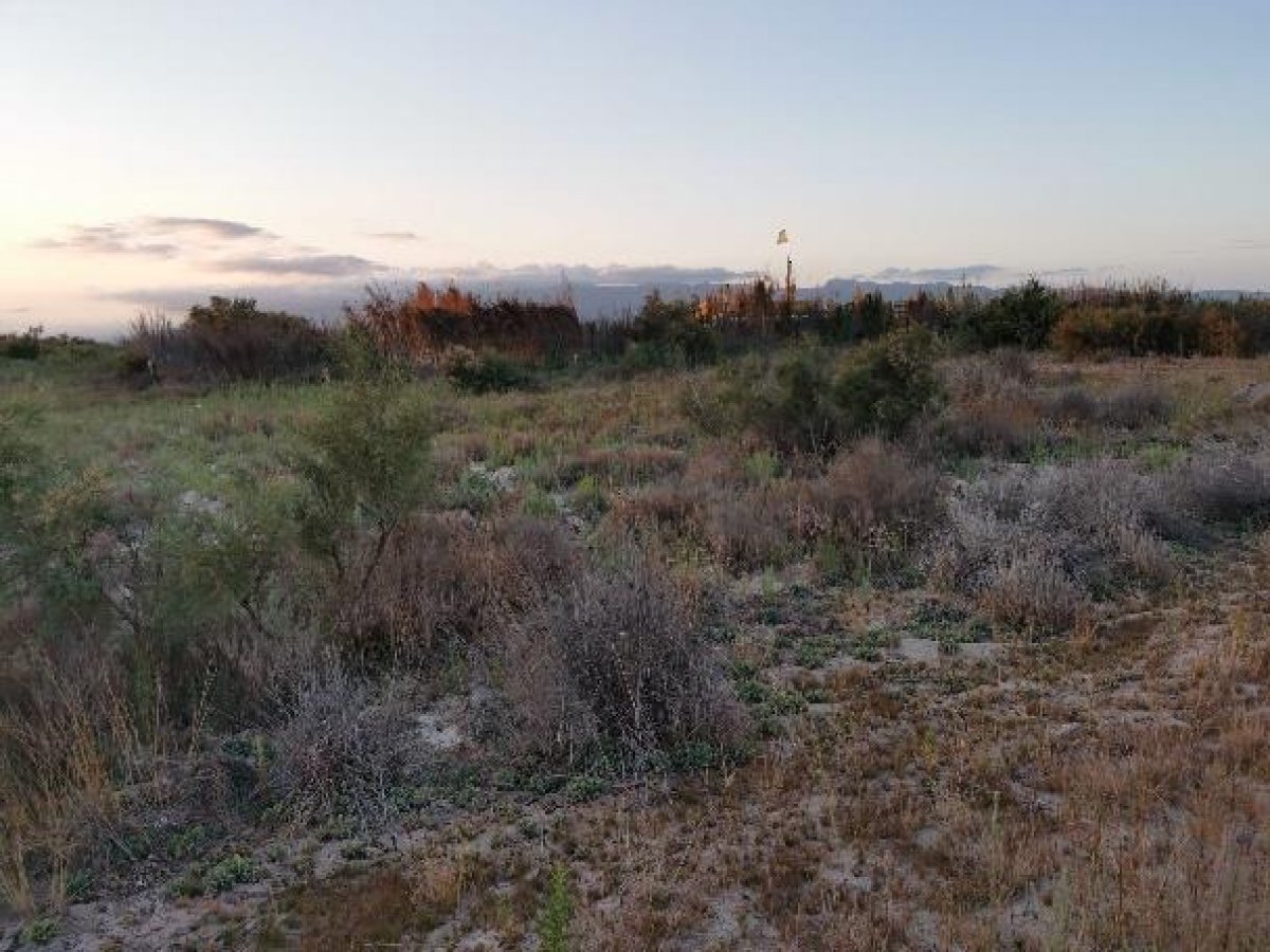 Fincas y solares-Venta-Cabo de Gata-1233241-Foto-60