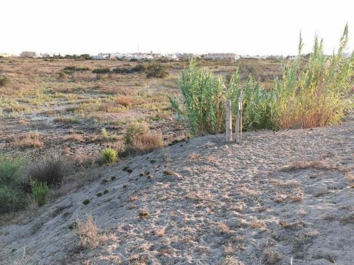 Fincas y solares-Venta-Cabo de Gata-1233241-Foto-65