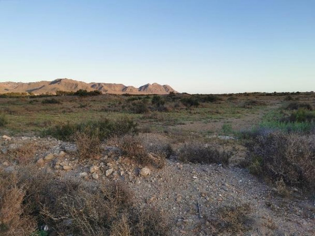 Fincas y solares-Venta-Cabo de Gata-1233241-Foto-73