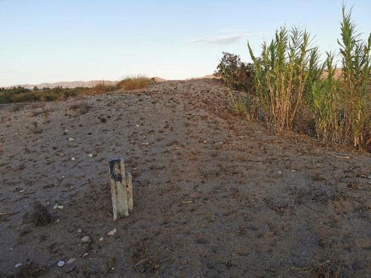 Fincas y solares-Venta-Cabo de Gata-1233241-Foto-68