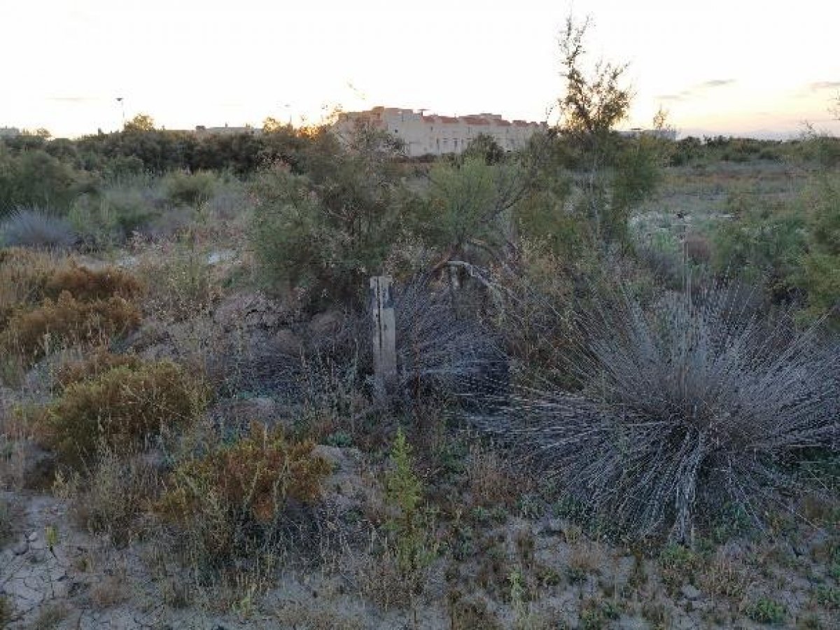 Fincas y solares-Venta-Cabo de Gata-1233241-Foto-70