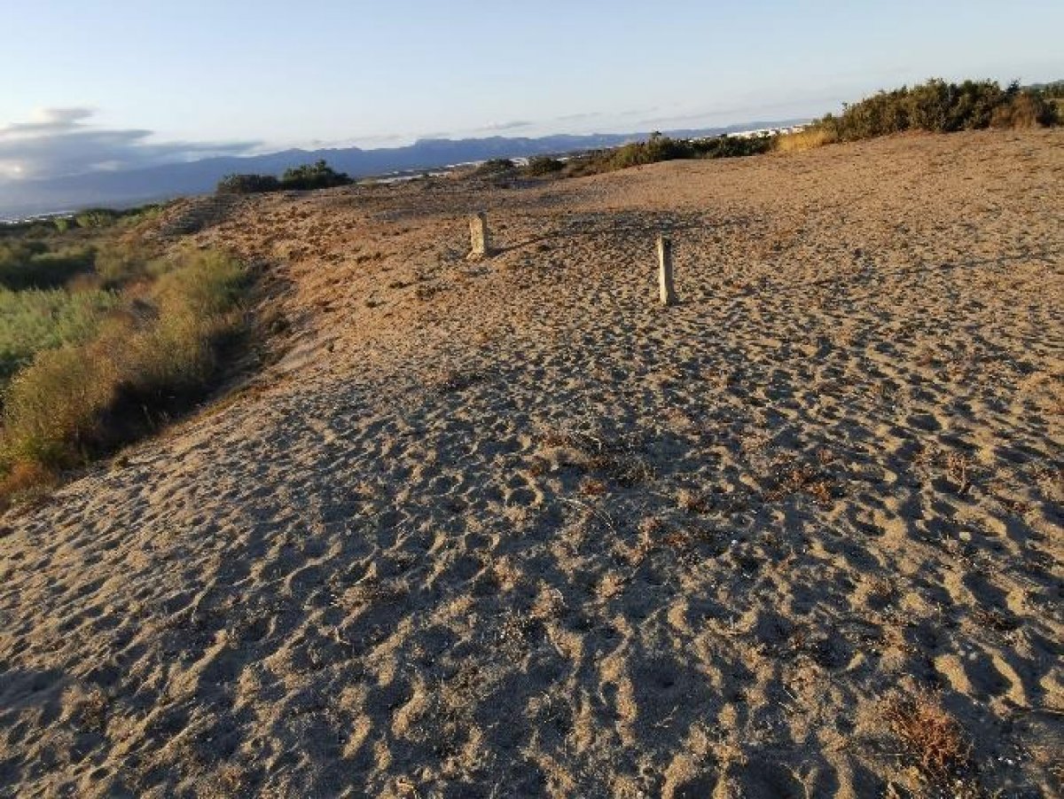 Fincas y solares-Venta-Cabo de Gata-1233241-Foto-81