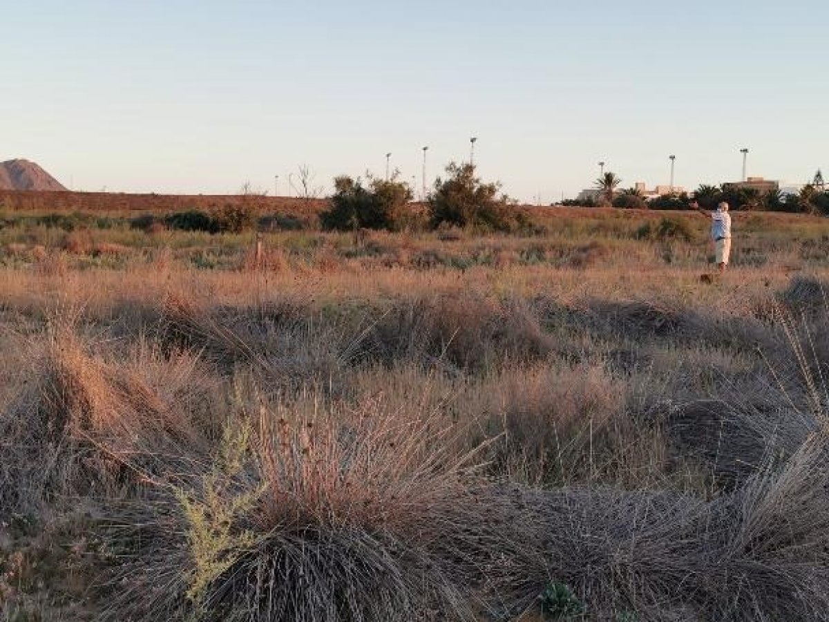 Fincas y solares-Venta-Cabo de Gata-1233241-Foto-82