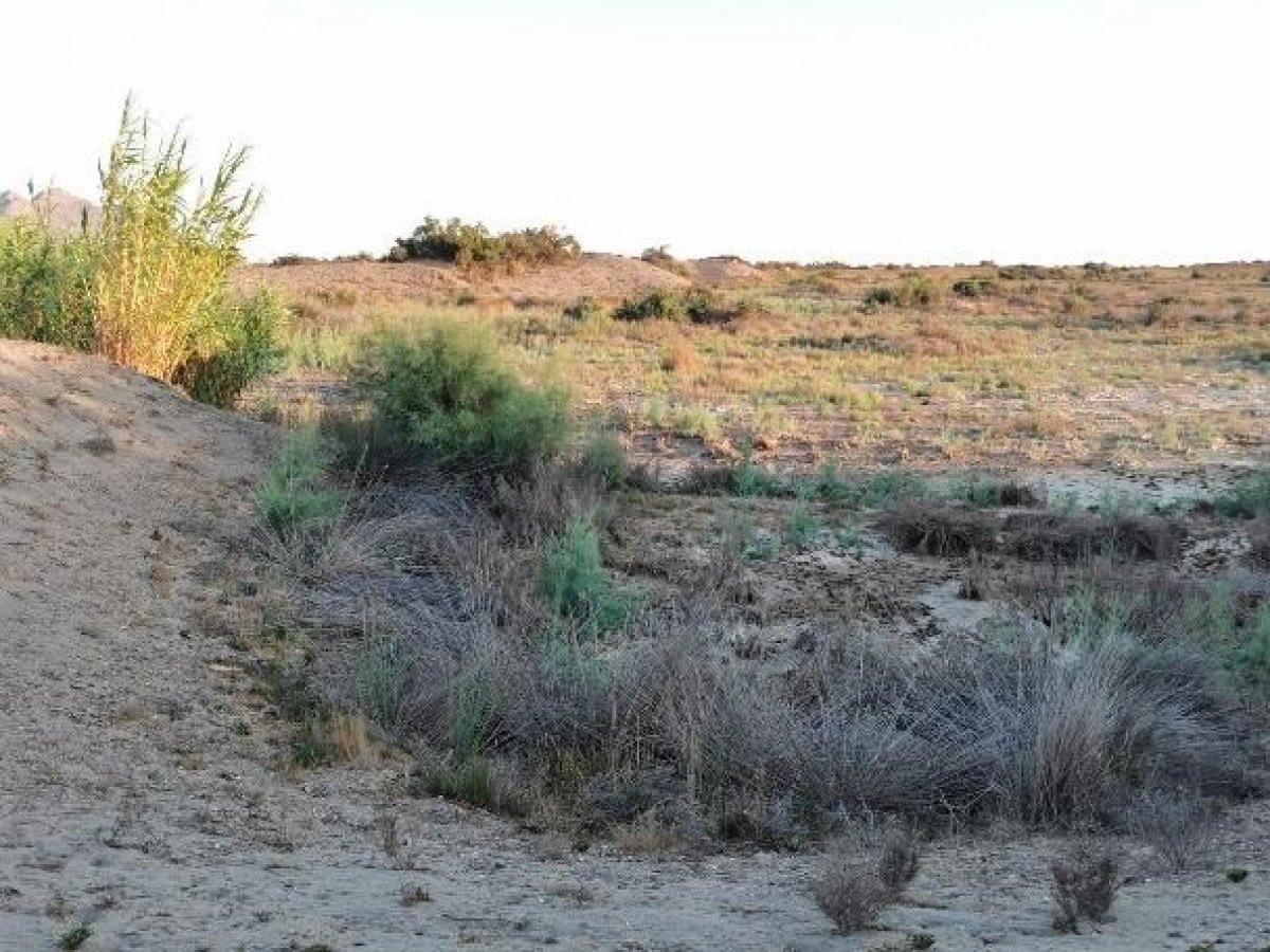 Fincas y solares-Venta-Cabo de Gata-1233241-Foto-83
