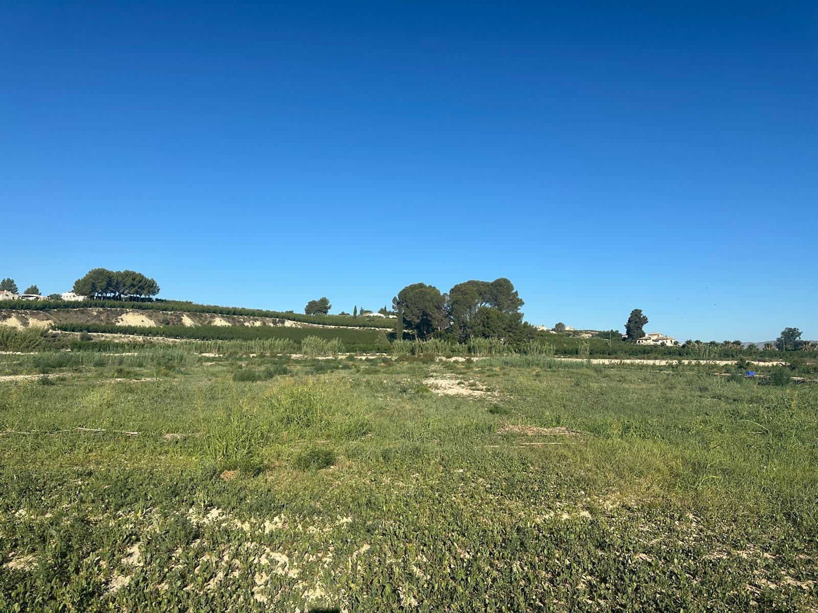Fincas y solares-Venta-1299841