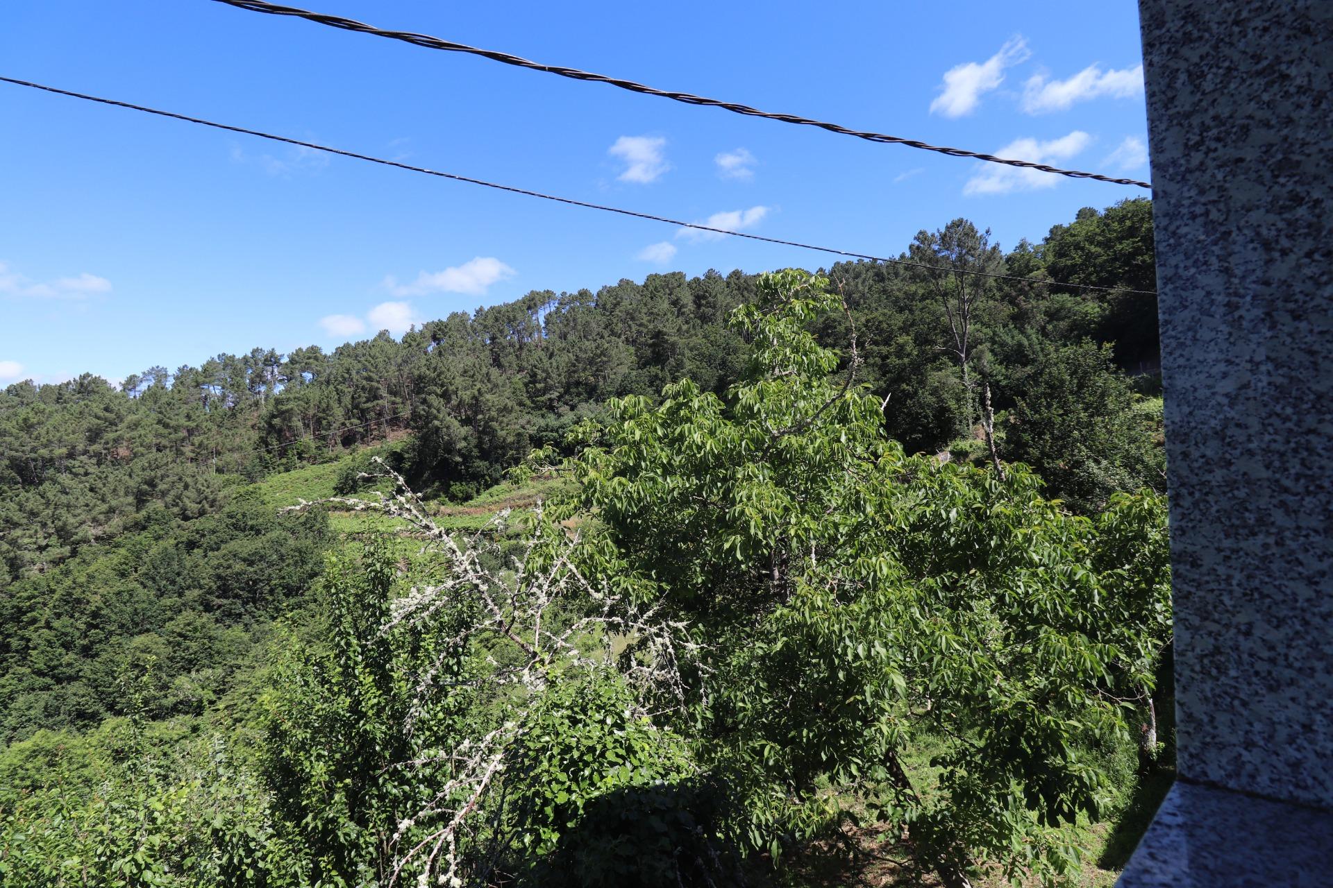 Pisos-Venta-A Peroxa-1349361-Foto-47