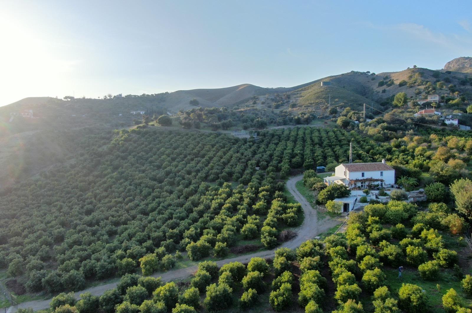 Fincas y solares-Venta-Álora-1318178
