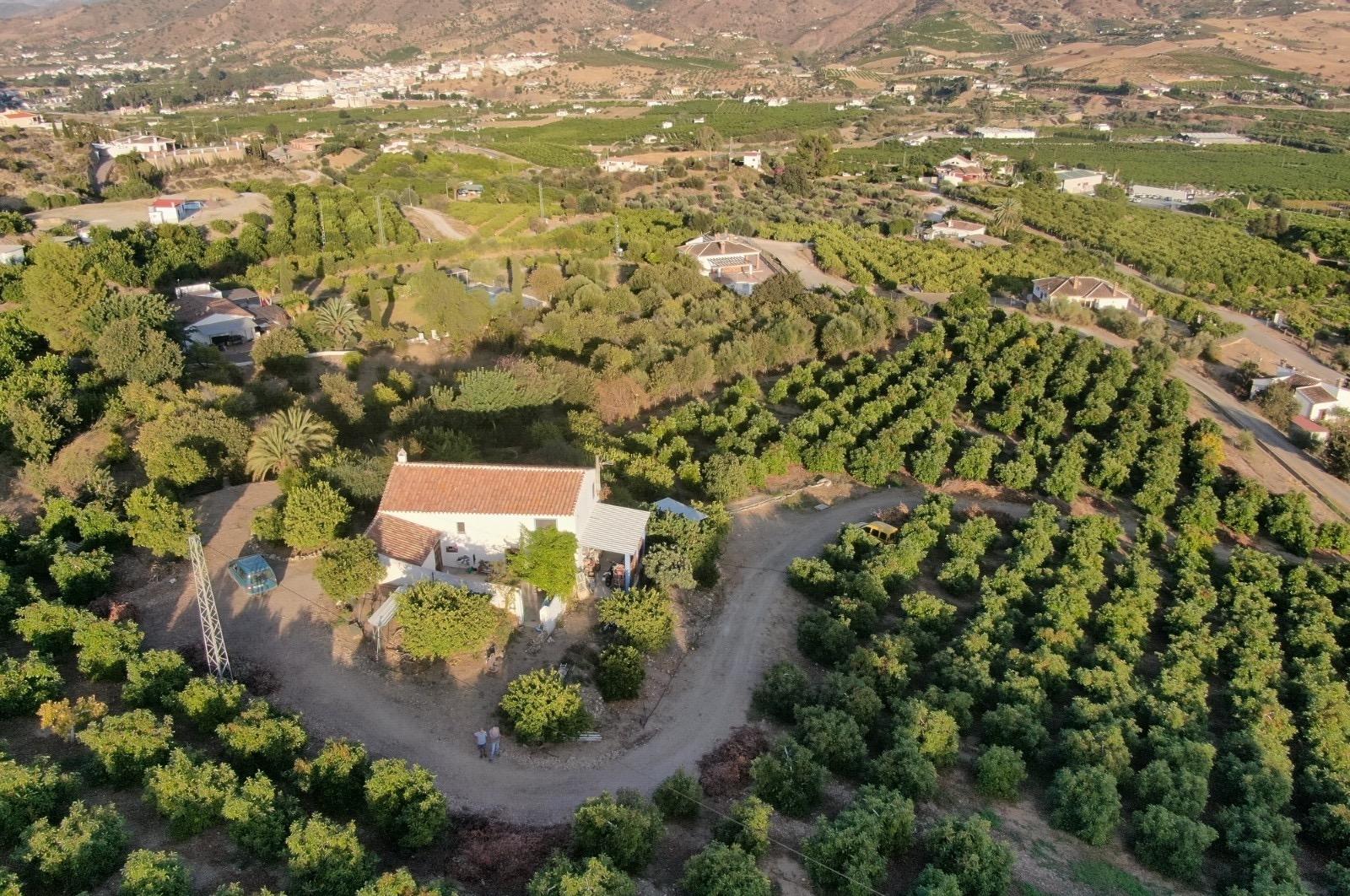 Fincas y solares-Venta-Ãlora-1318178-Foto-2