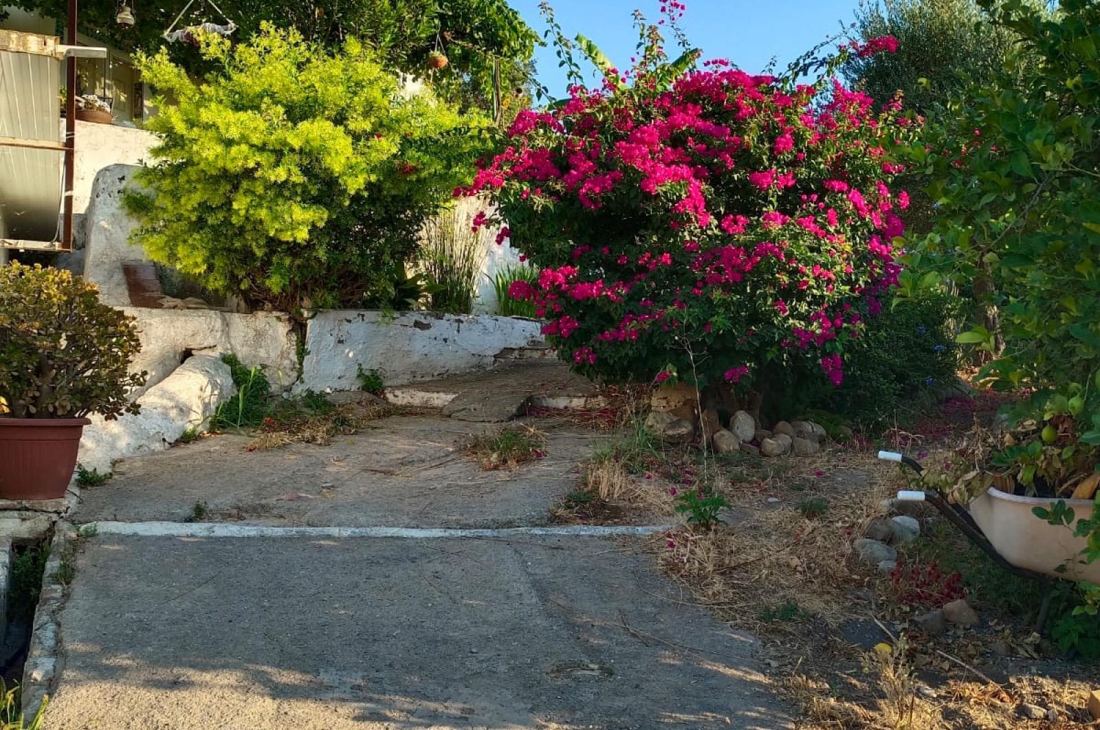 Fincas y solares-Venta-Ãlora-1318178-Foto-7