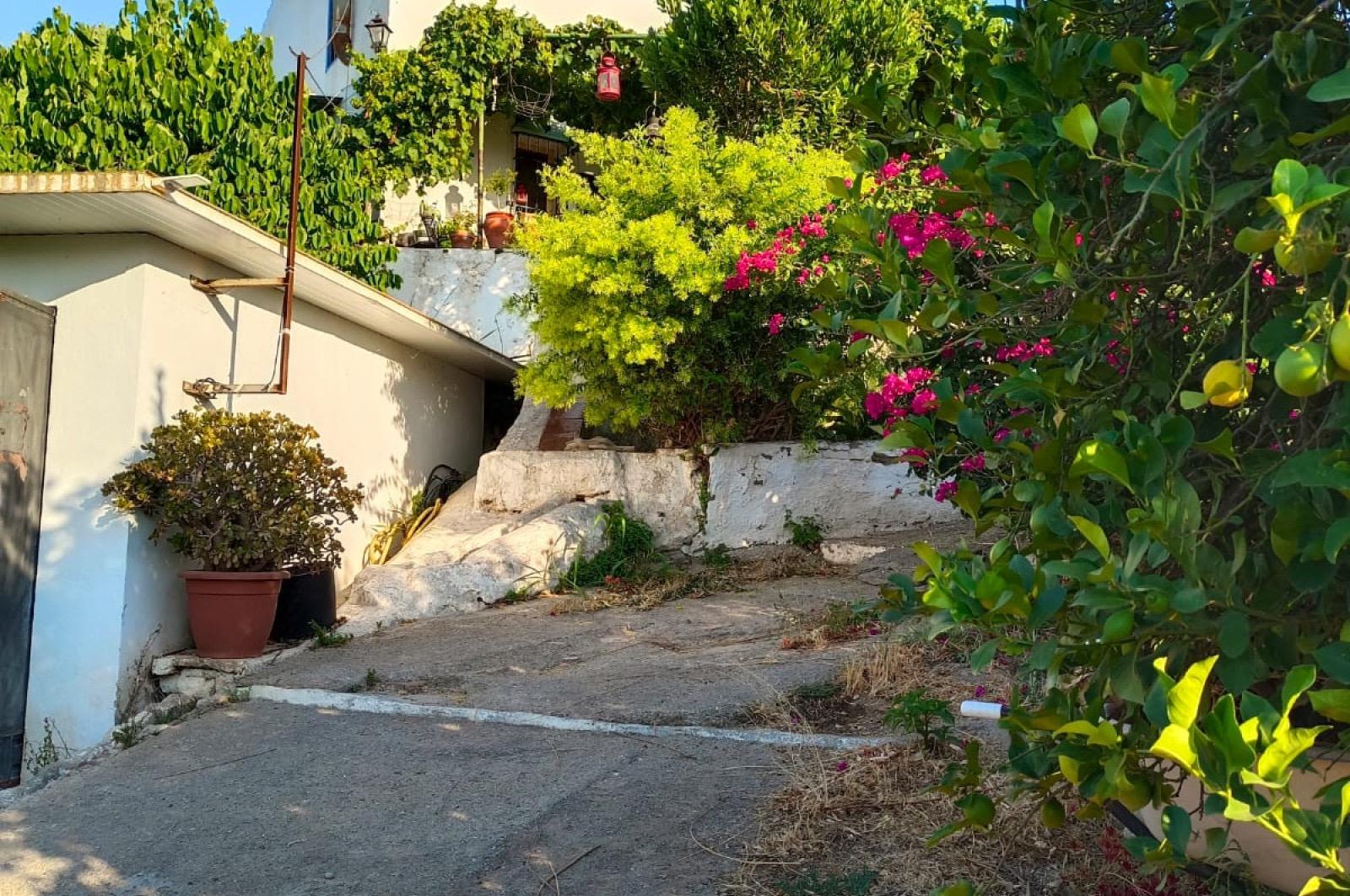 Fincas y solares-Venta-Ãlora-1318178-Foto-8