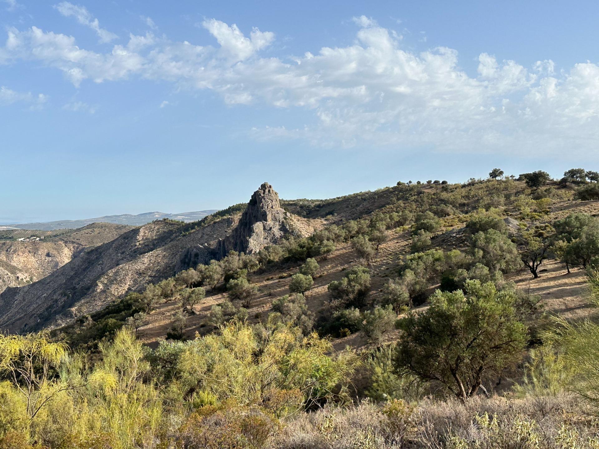 Fincas y solares-Venta-Archidona-1318194-Foto-11