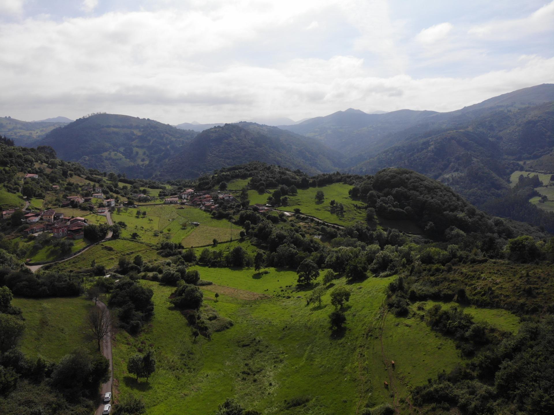 Casas o chalets-Venta-El Grado-1318276-Foto-8