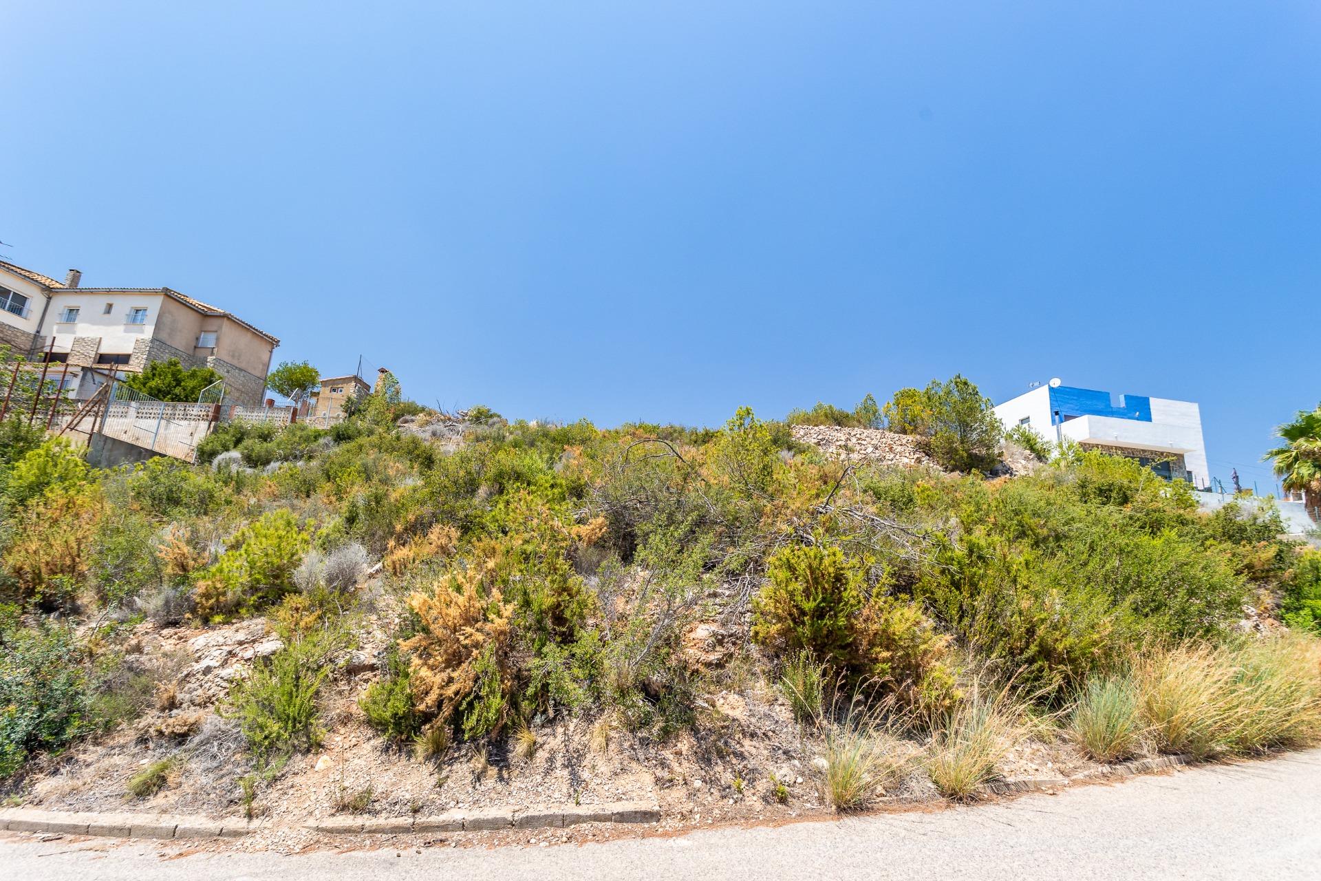 Fincas y solares-Venta-Chiva-1264281-Foto-7