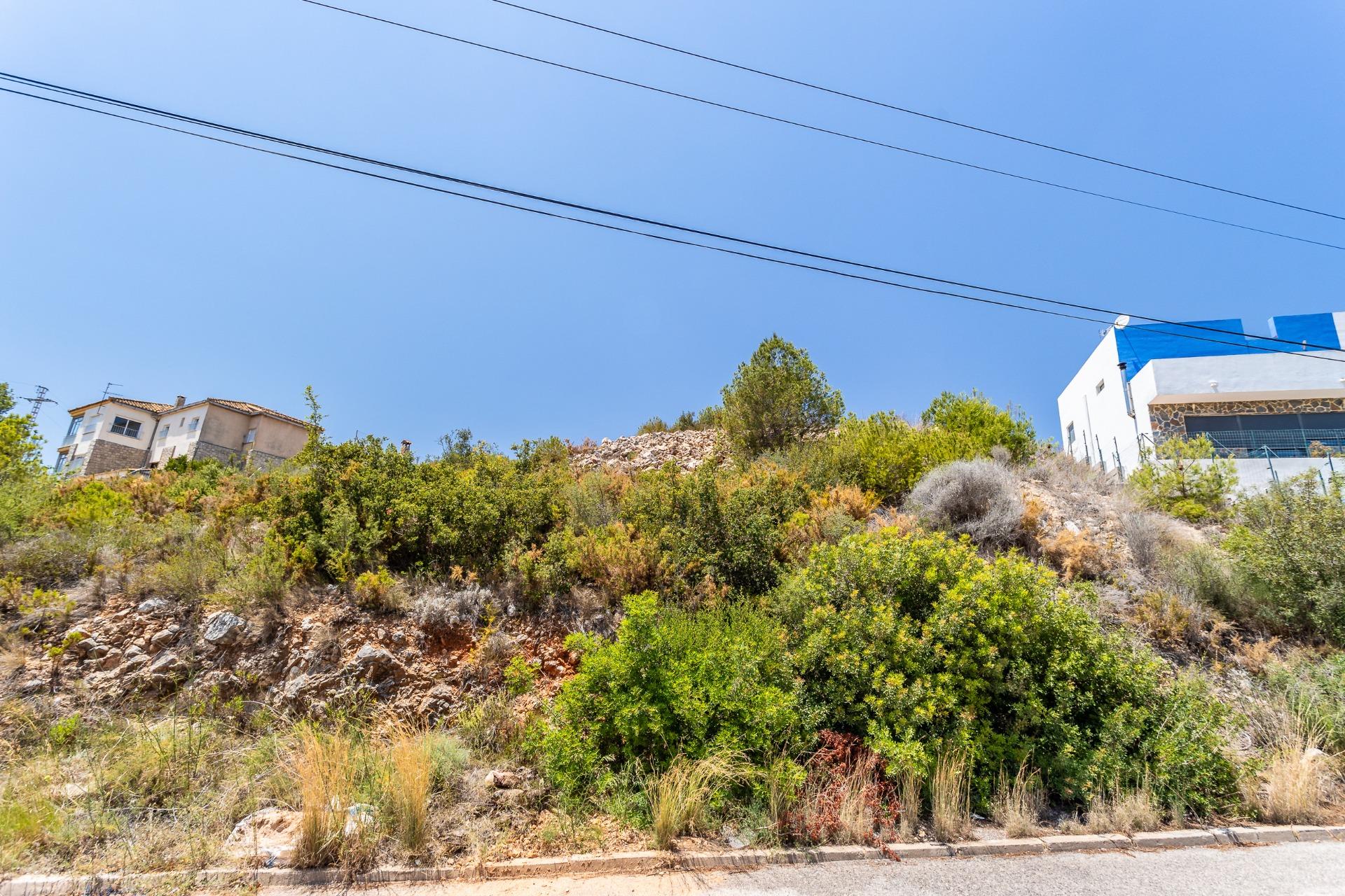 Fincas y solares-Venta-Chiva-1264281-Foto-17
