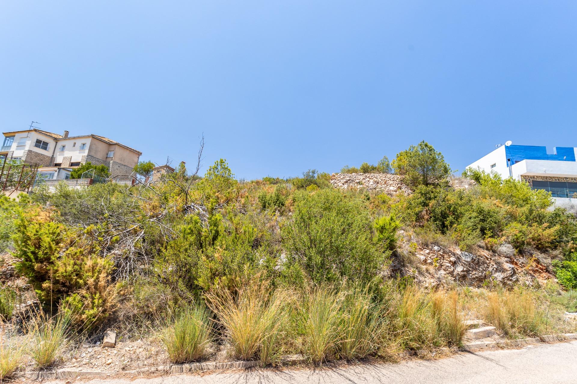 Fincas y solares-Venta-Chiva-1264281-Foto-18