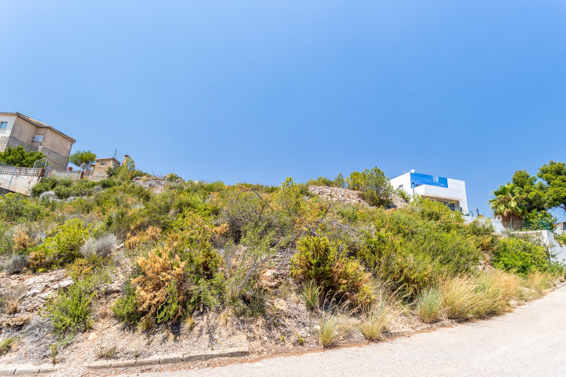 Fincas y solares-Venta-Chiva-1264281-Foto-19