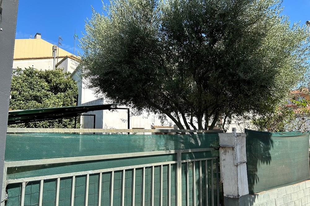 Fincas y solares-Venta-Girona-1094557-Foto-7