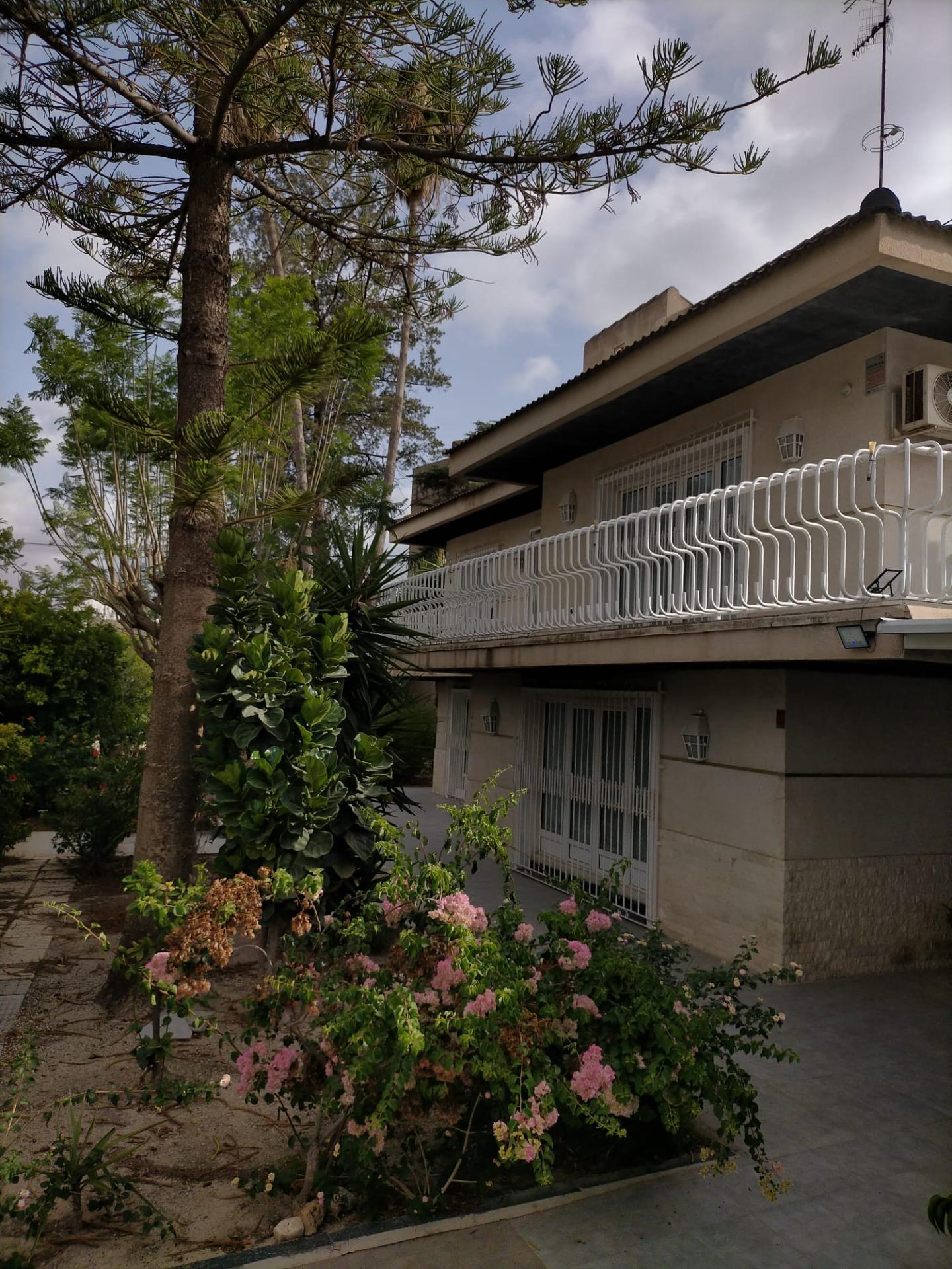 Casas o chalets-Venta-Orihuela-1395056-Foto-3