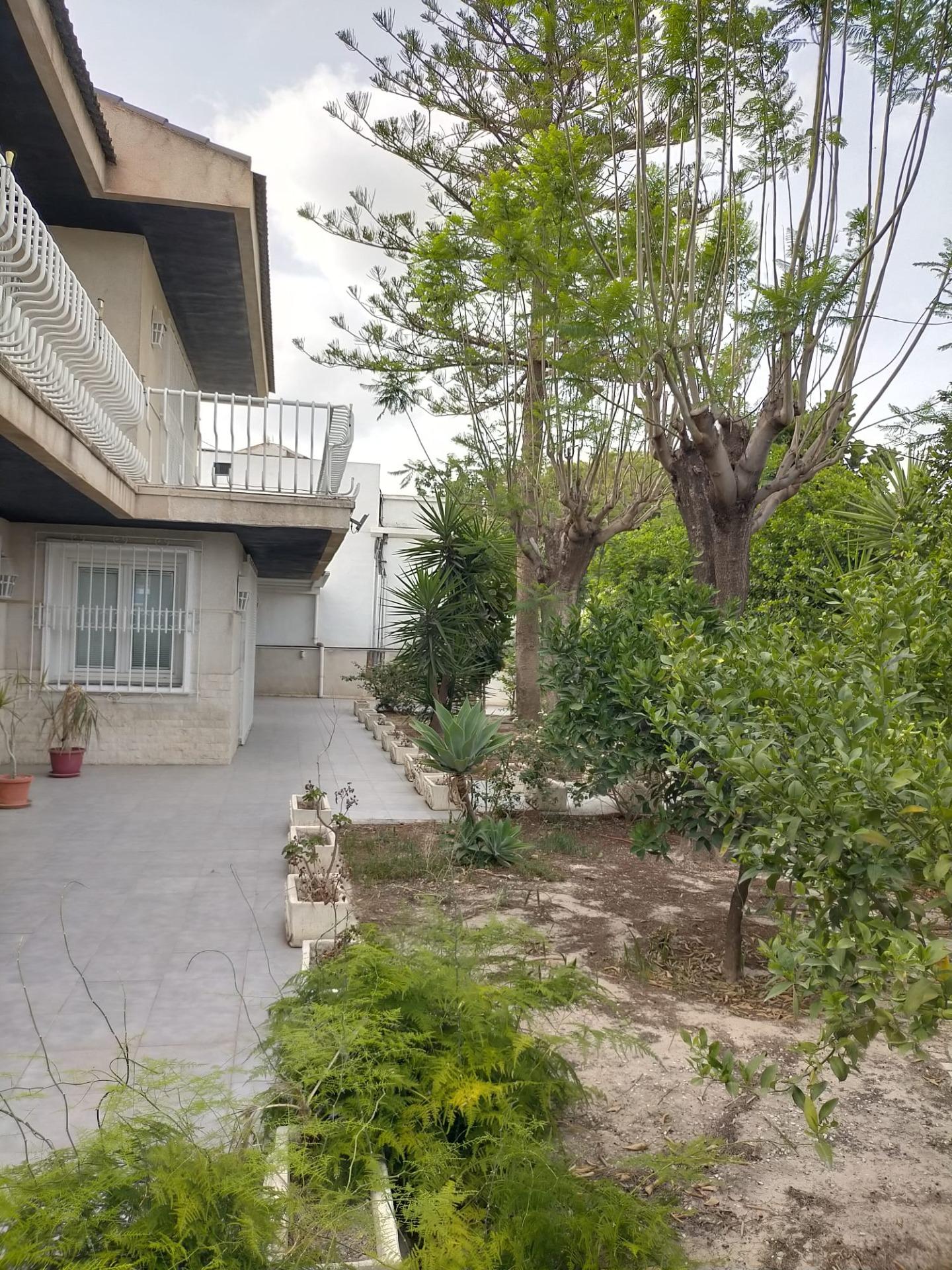 Casas o chalets-Venta-Orihuela-1395056-Foto-6