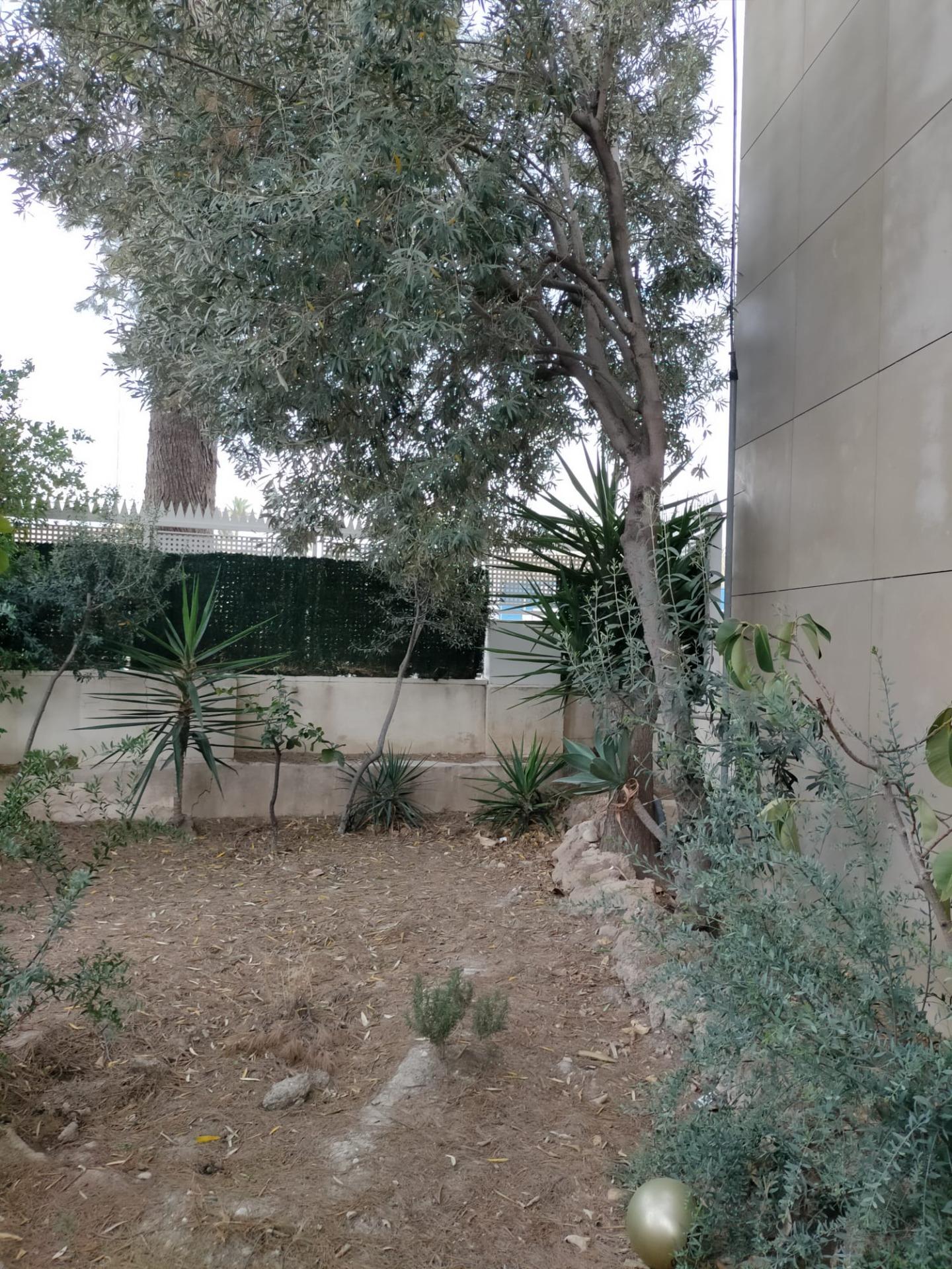 Casas o chalets-Venta-Orihuela-1395056-Foto-7