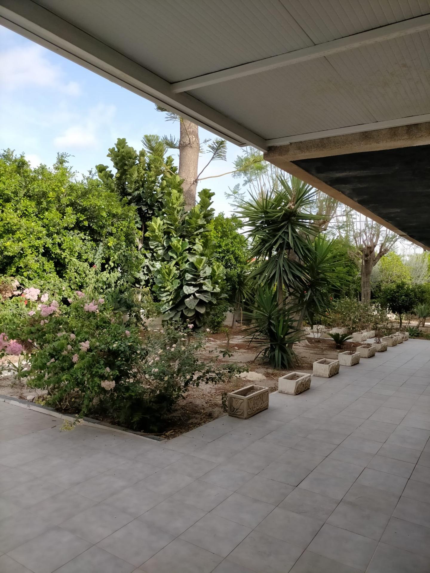 Casas o chalets-Venta-Orihuela-1395056-Foto-9