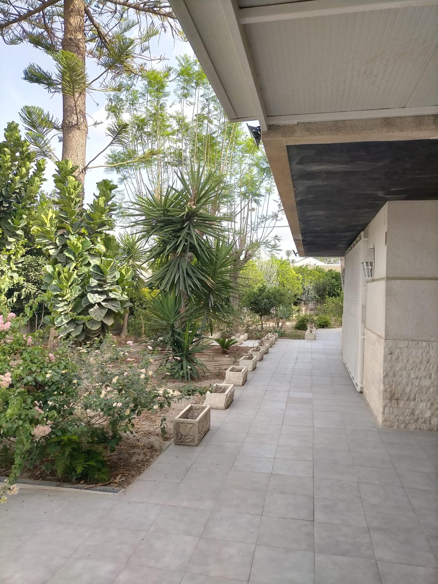Casas o chalets-Venta-Orihuela-1395056-Foto-10