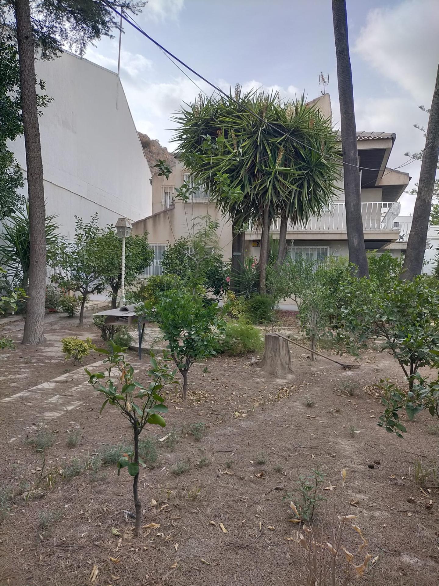Casas o chalets-Venta-Orihuela-1395056-Foto-13