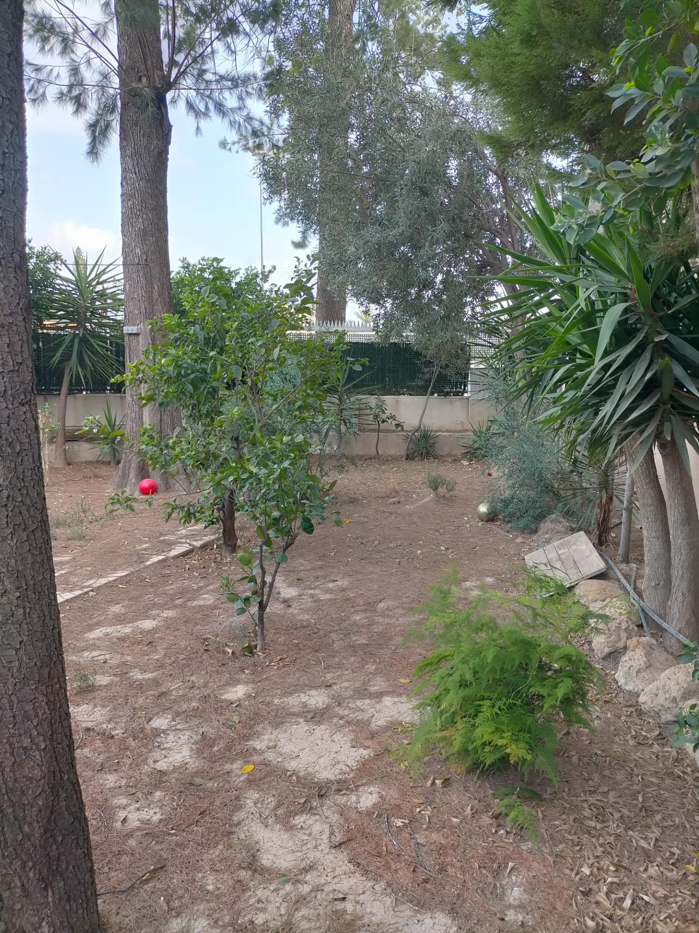 Casas o chalets-Venta-Orihuela-1395056-Foto-11