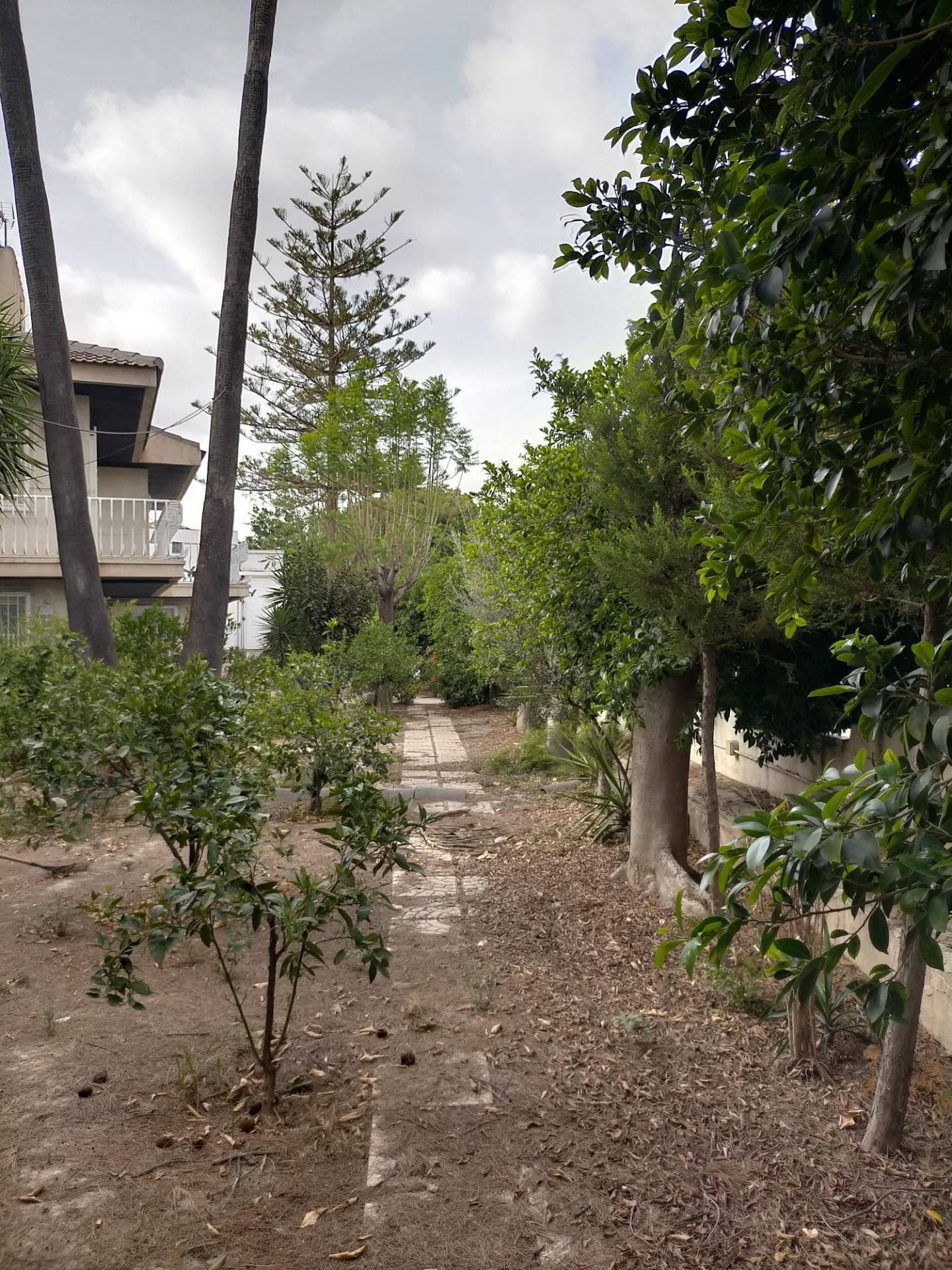 Casas o chalets-Venta-Orihuela-1395056-Foto-22