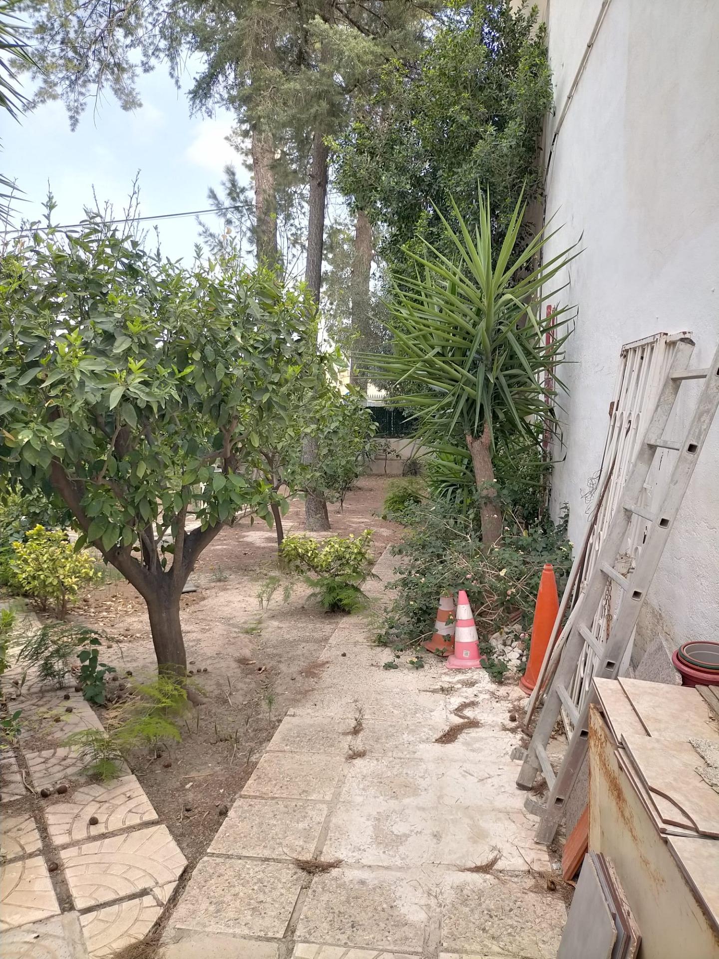 Casas o chalets-Venta-Orihuela-1395056-Foto-23