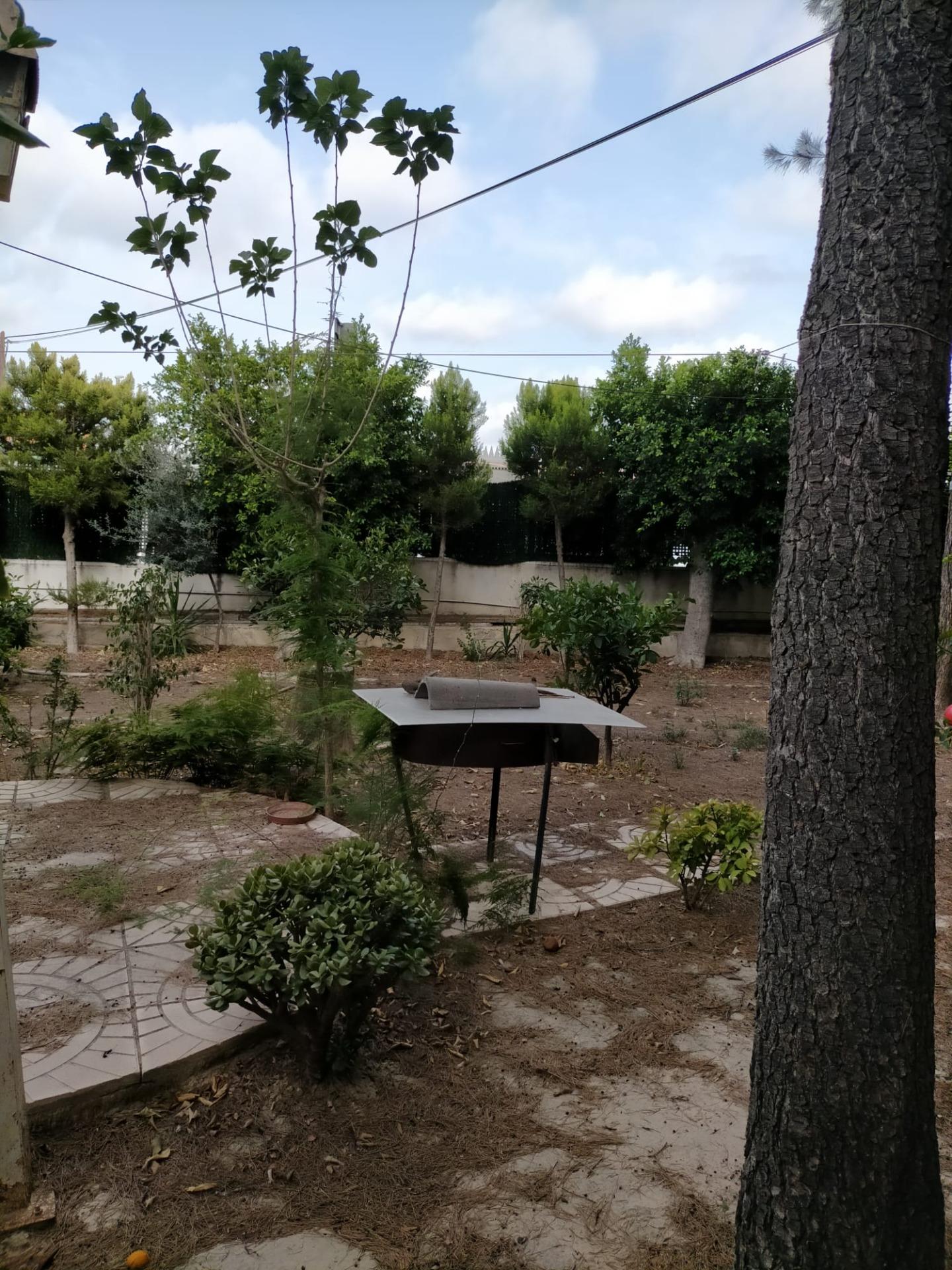 Casas o chalets-Venta-Orihuela-1395056-Foto-31