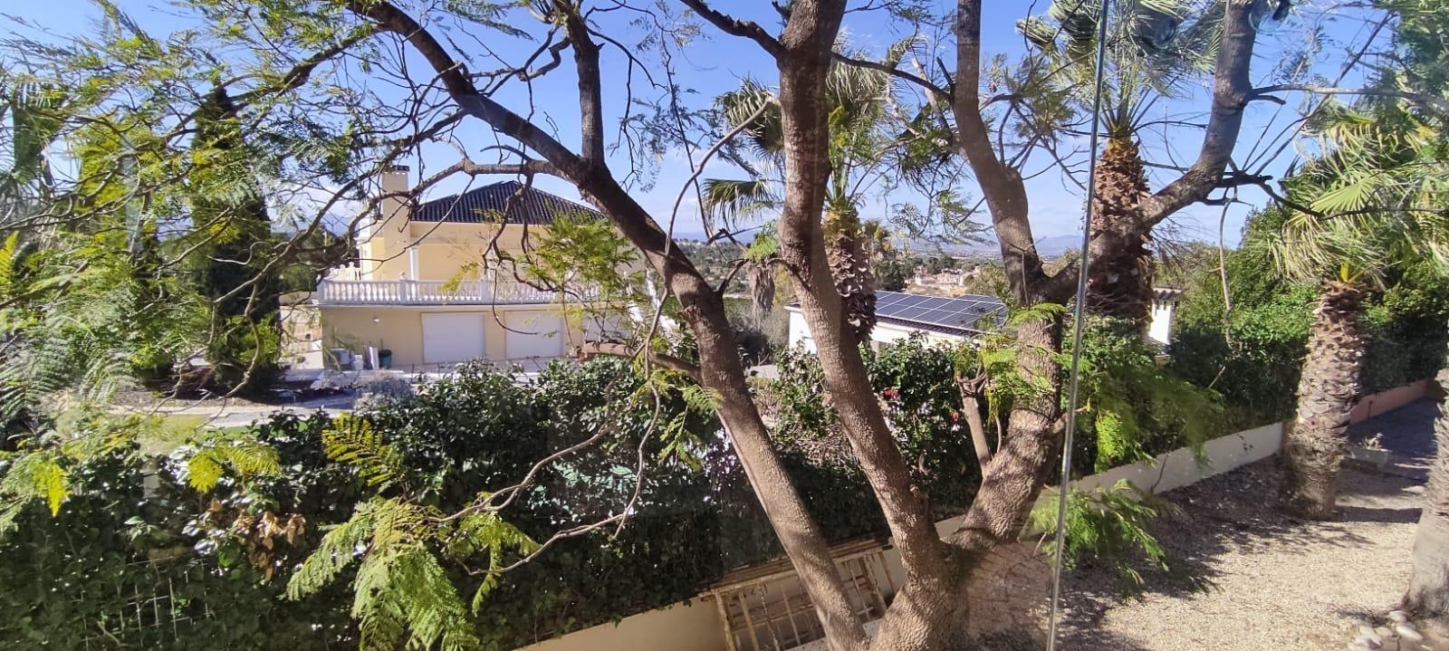 Casas o chalets-Venta-Monserrat - Montserrat-1209380-Foto-49