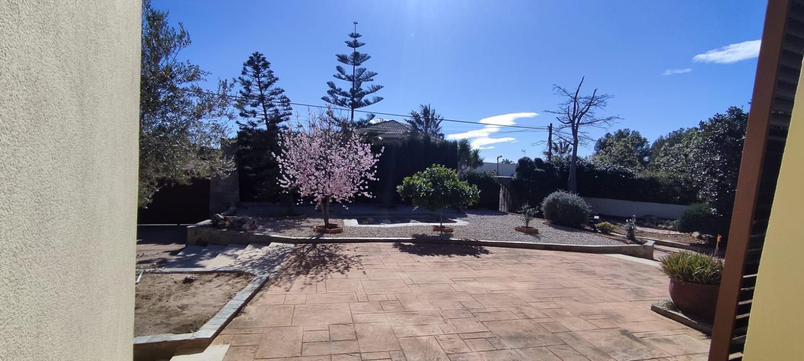 Casas o chalets-Venta-Monserrat - Montserrat-1209380-Foto-57