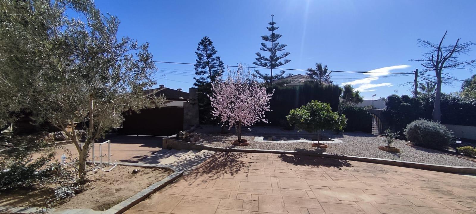 Casas o chalets-Venta-Monserrat - Montserrat-1209380-Foto-61