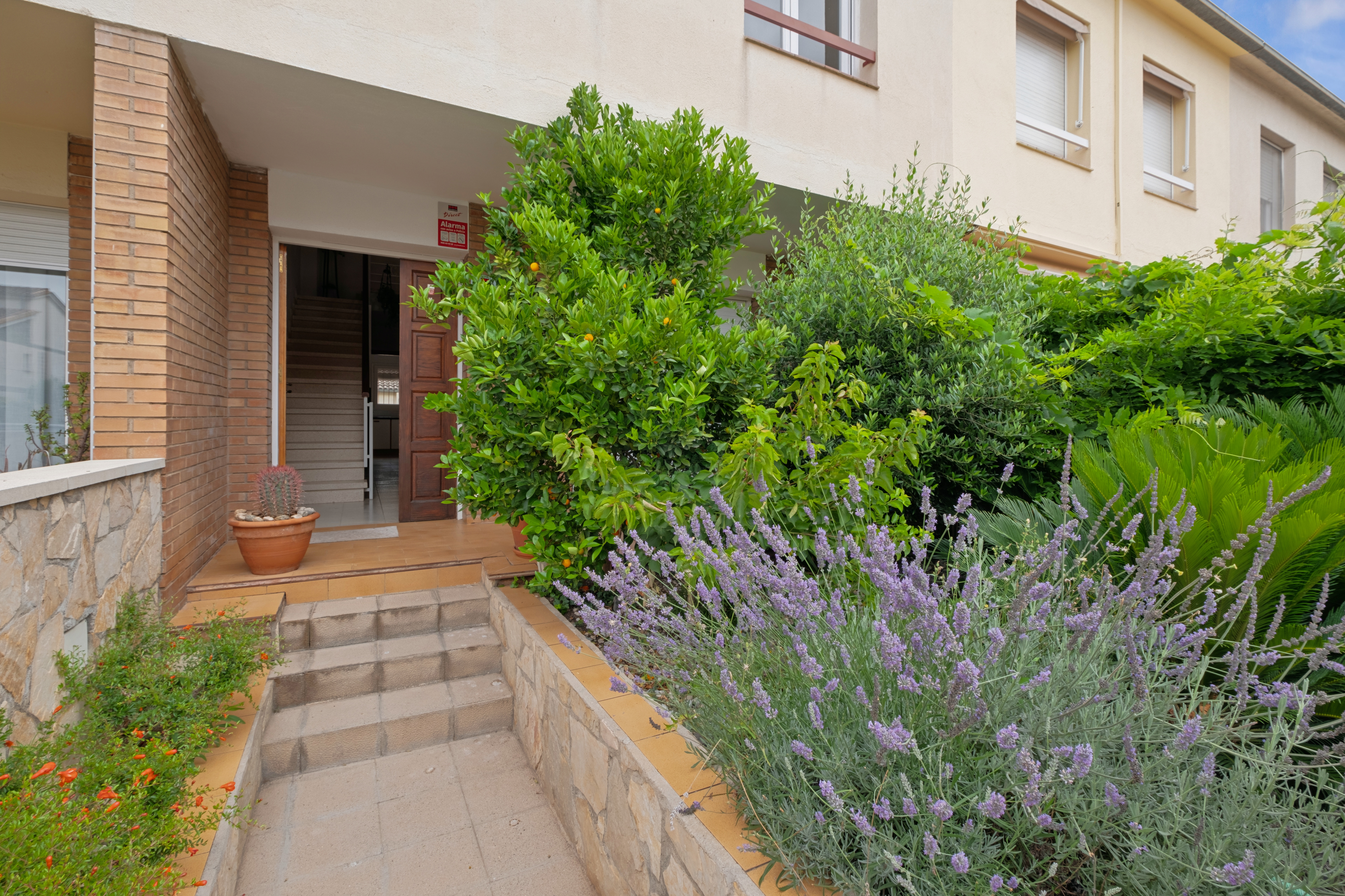 Casas o chalets-Venta-Salt-1397953-Foto-18